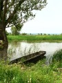 Thumbnail of 042.jpg