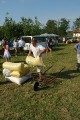 Thumbnail of DSC02088.JPG